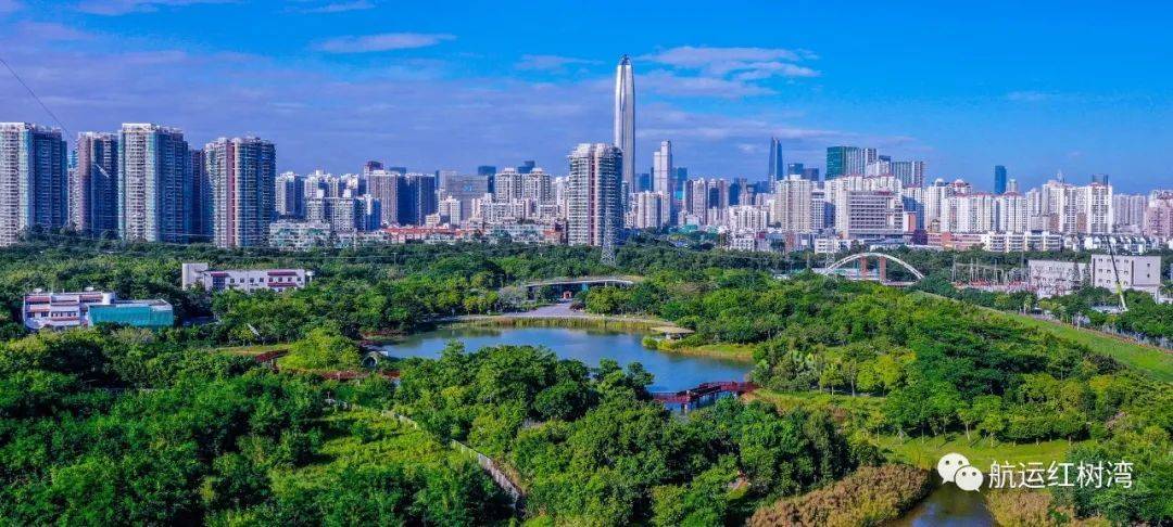 深圳福田中信城开红树湾学校(中信城开红树湾)楼盘详情