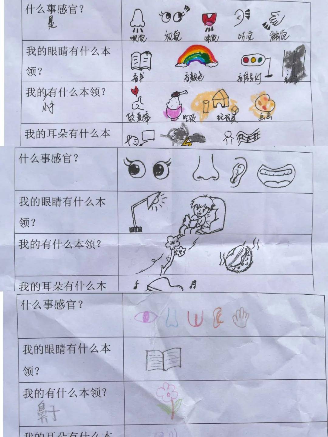 幼儿园感官区规则牌图片