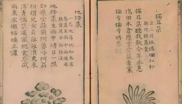 商业出版兴起,明代书籍有何新气象——通俗文献发展壮大