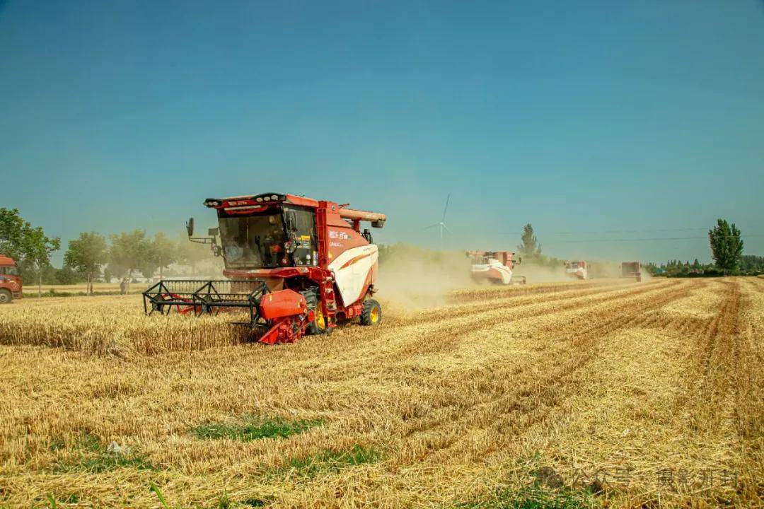 汴梁艺术|开封艺摄会员摄影作品欣赏:又是一年麦收季