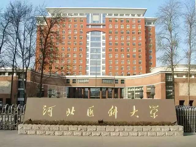 河北医科大学校花图片