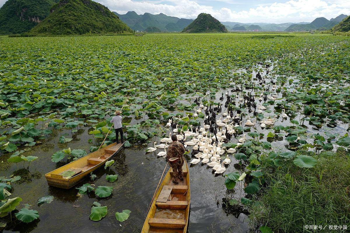 往南到南宁也只要三小时;普者黑机场在砚山县,距离景区并不近,机场外