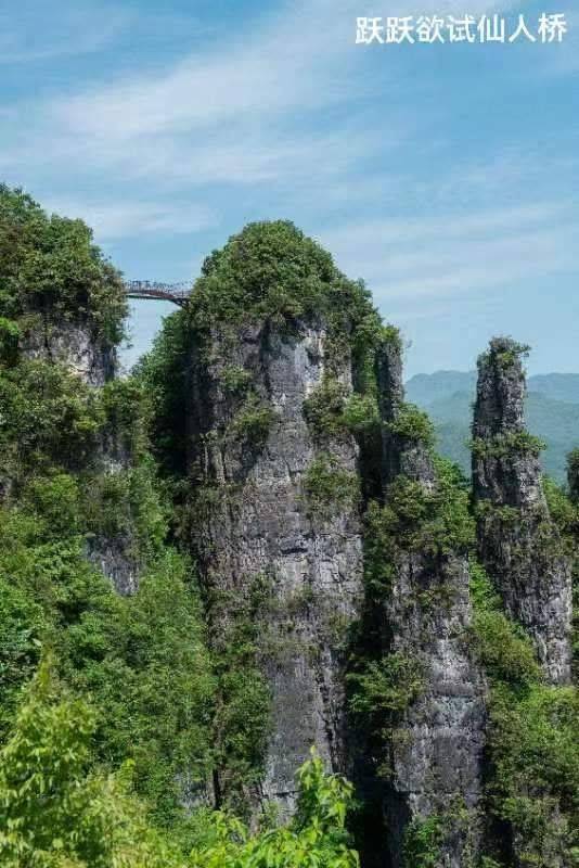 「图韵诗风」总有风景入镜来