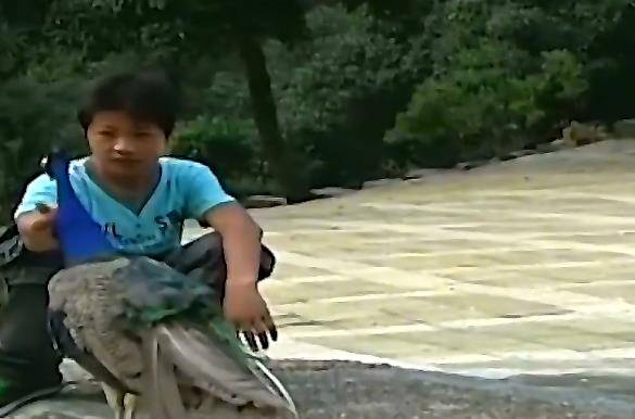 12岁少年被称为"鸟神",不仅能指挥行动,而且还能和它们说话_吴永桃