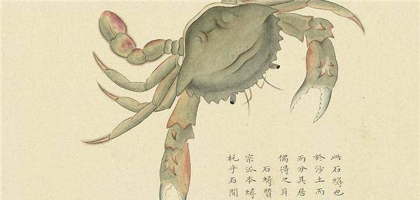 动物 恐龙 600_286