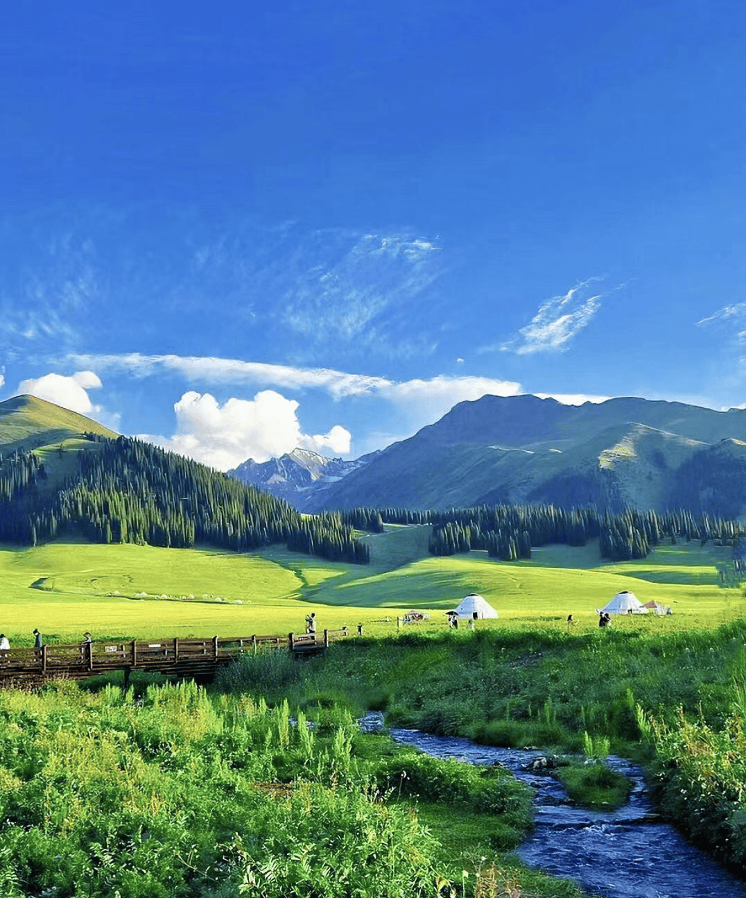 跟团旅行初体验,走着瞧旅行到底值不值得冲_伊犁_草原_夏天