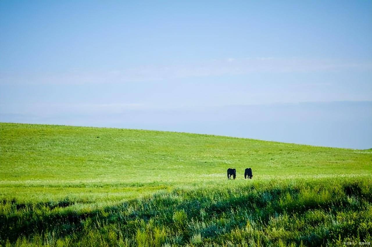 去草原旅行来内蒙,这个最美的草原景好人少_com_http_锡林郭勒
