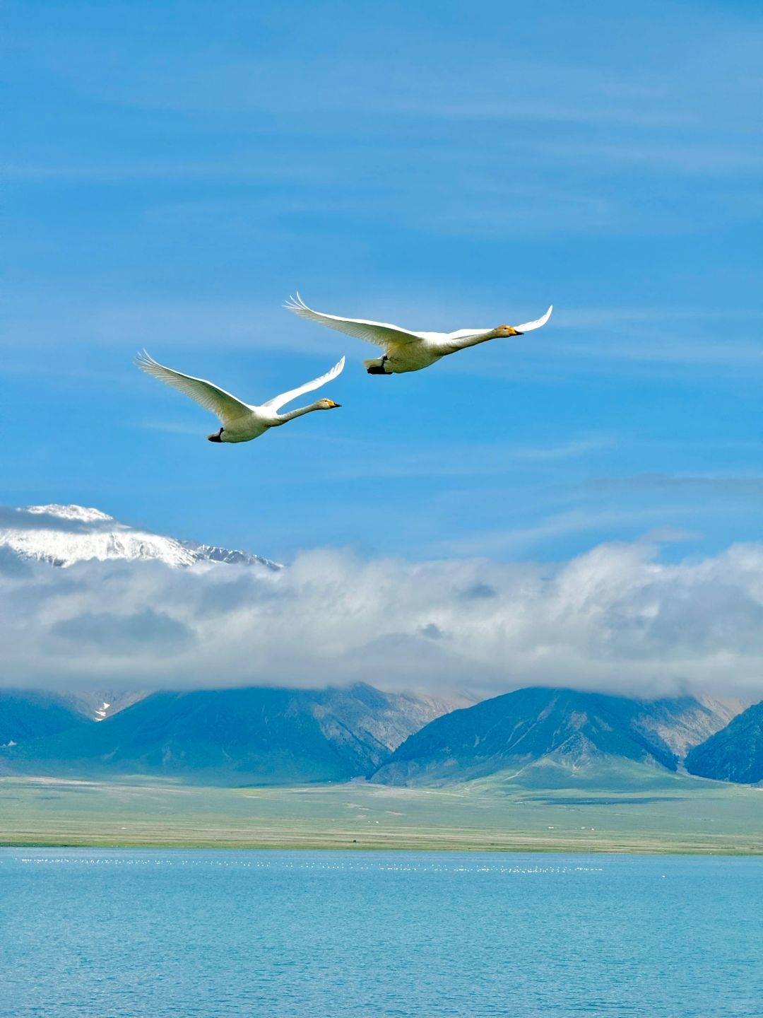 她的微信头像长时间未换,通过与她的交往,我们发现她是一个非常稳重和