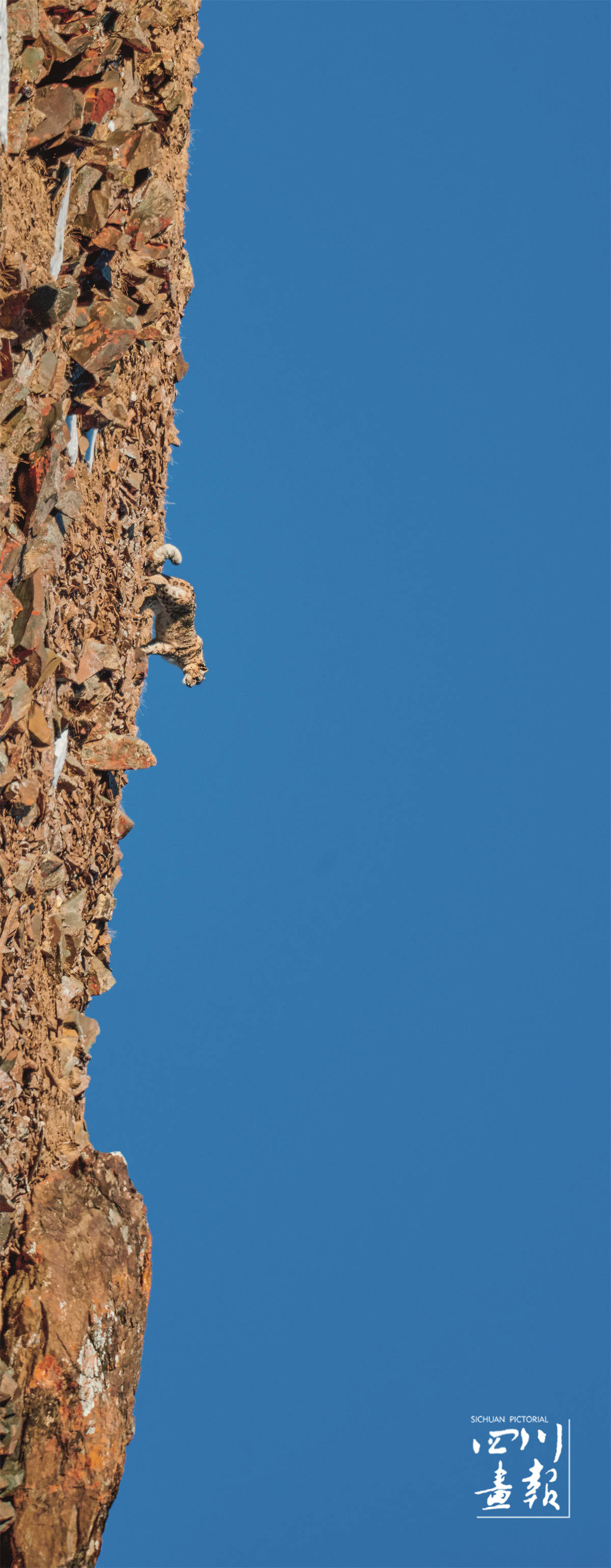 中国西部图片库·人物|吕玲珑:风光之美,美在忧伤