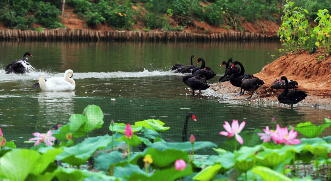 济西农业公司举办"爱心农场"主题关爱特殊儿童公益活动