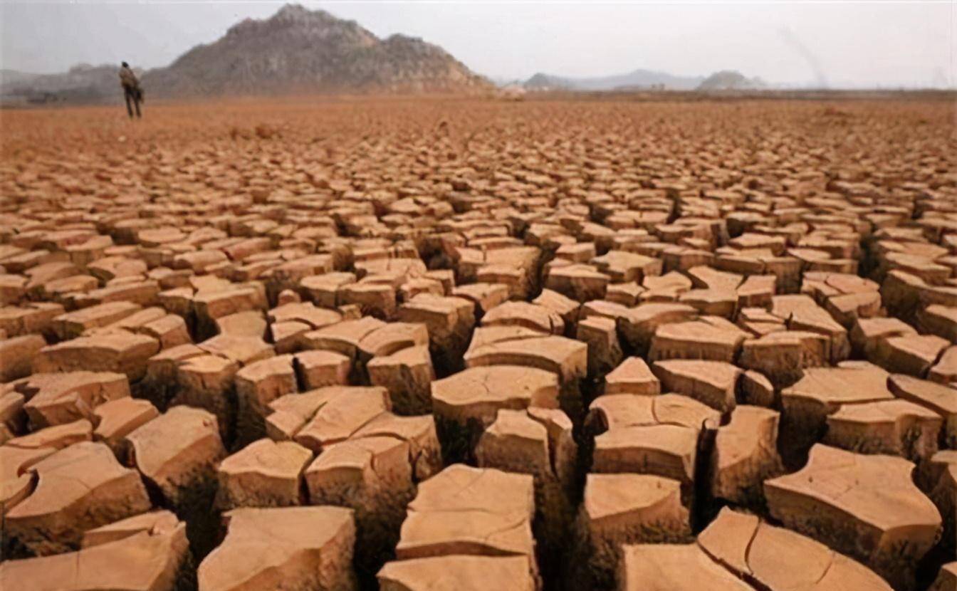 非洲作为世界第二大陆,并不缺少用于耕种的土地,为何还闹饥荒?