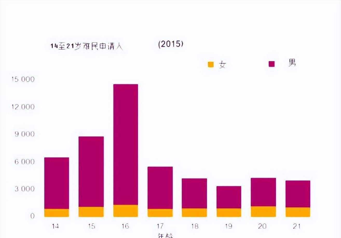 瑞典圣母事件图片