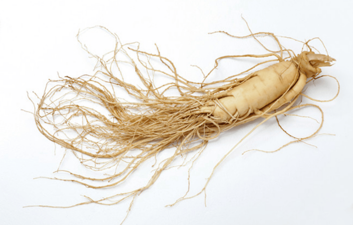 外观和颜色:正宗的西洋参通常呈现淡黄色或淡棕色,表皮光滑且带有一定