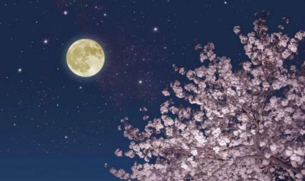 辛弃疾这词共10句就有7个问句,个个问的刁钻,一气呵成势如破竹