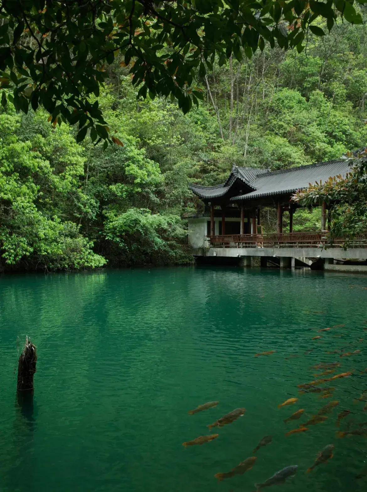 自驾游一定要来一趟丽水,有山有水有诗意