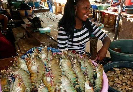   引起 非洲人说他们宁愿饿死也不吃这种海鲜。中国人看完都惊呆了！ 