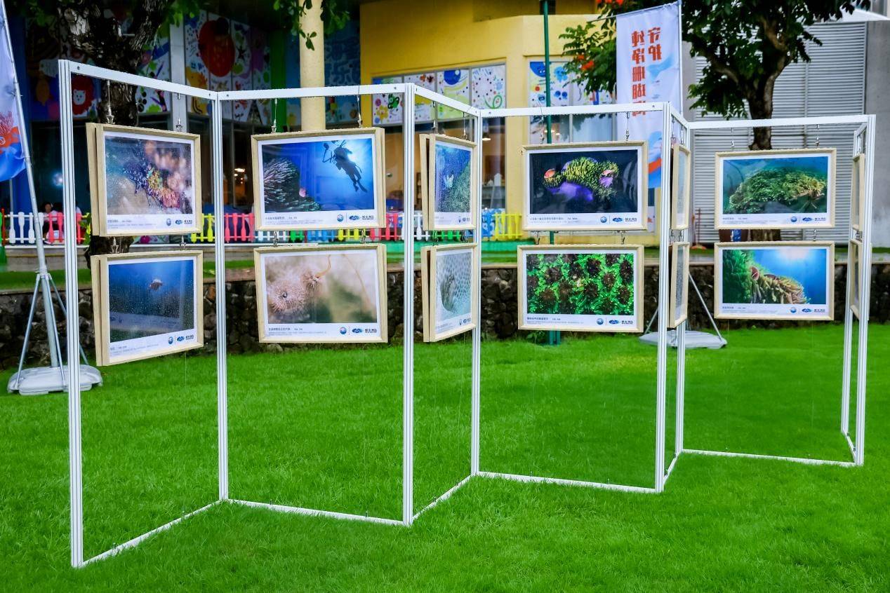 活动现场还精心布置了生态环保艺术展与海洋生物多样性摄影展,引领