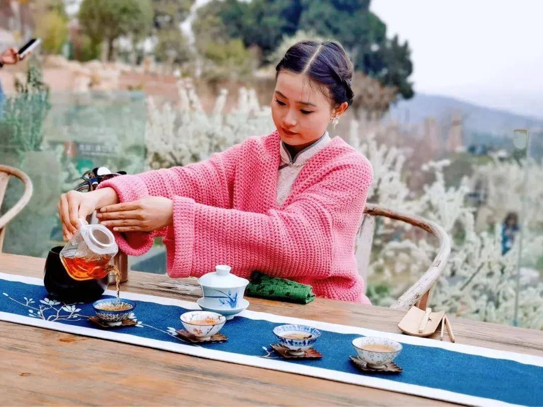 报考茶艺师条件_报考茶艺师资格证需要多少钱_茶艺师证考试报名资格