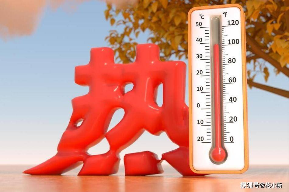 解暑气,降心火,5样食材一锅炖,补钾补维c!