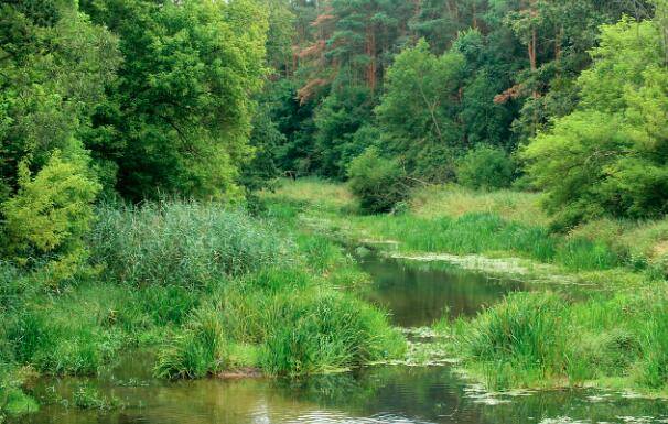 厦门天竺山森林公园,探秘厦门天竺山的自然风光