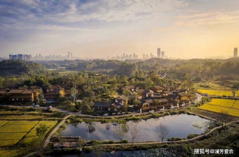 和美乡村看成都|四川天府新区官塘村:成都人的"田园会客厅"