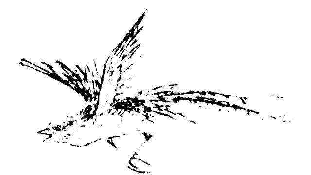 你觉得这个世界上有"龙"吗?从《山海经》中烛龙说起