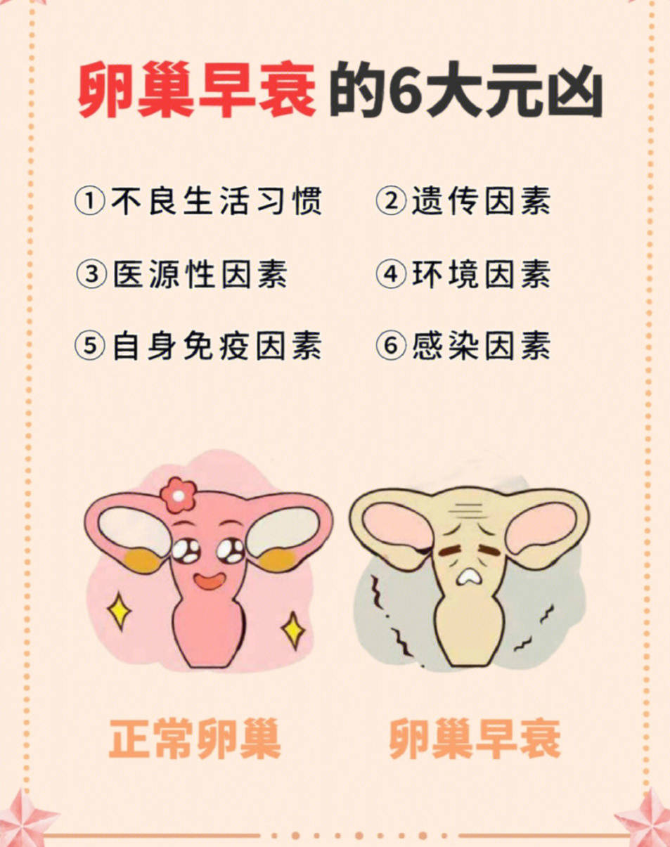 卵巢早衰不再愁,广州华康刘忠燕揭秘"源根同治"