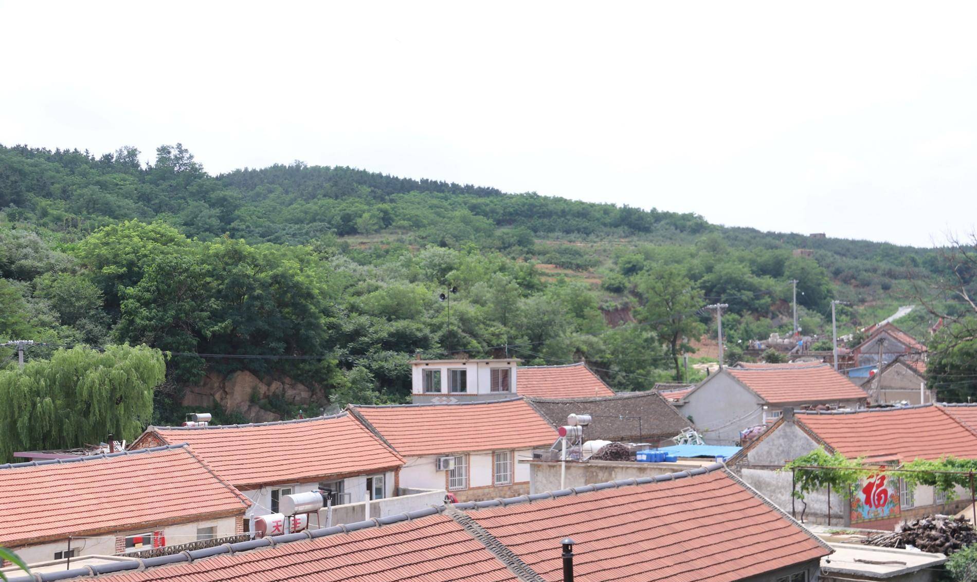 其中两棵保留到现在_高家沟_大槐树_村庄