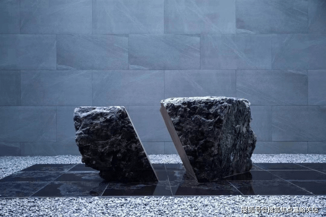 与黑山石对望的朴树,造价就接近百万元.