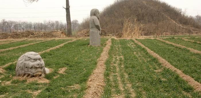 中国有一座非常低调皇陵,不仅不要门票,而且陵园还成为一片麦田