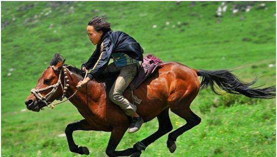 关羽死后,赤兔绝食身亡,但为何前几任主人都没有这种待遇