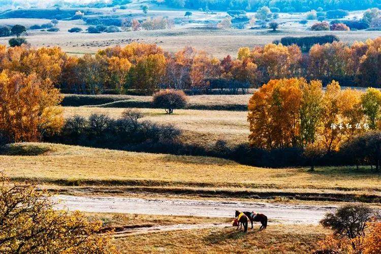 木兰围场之乌兰布统草原,拍不尽坝上如诗如画的美景,徐长红摄影