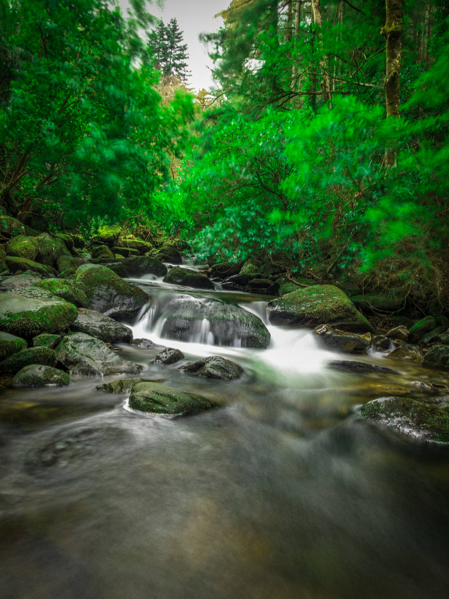 山谷里藏着怎样的美景