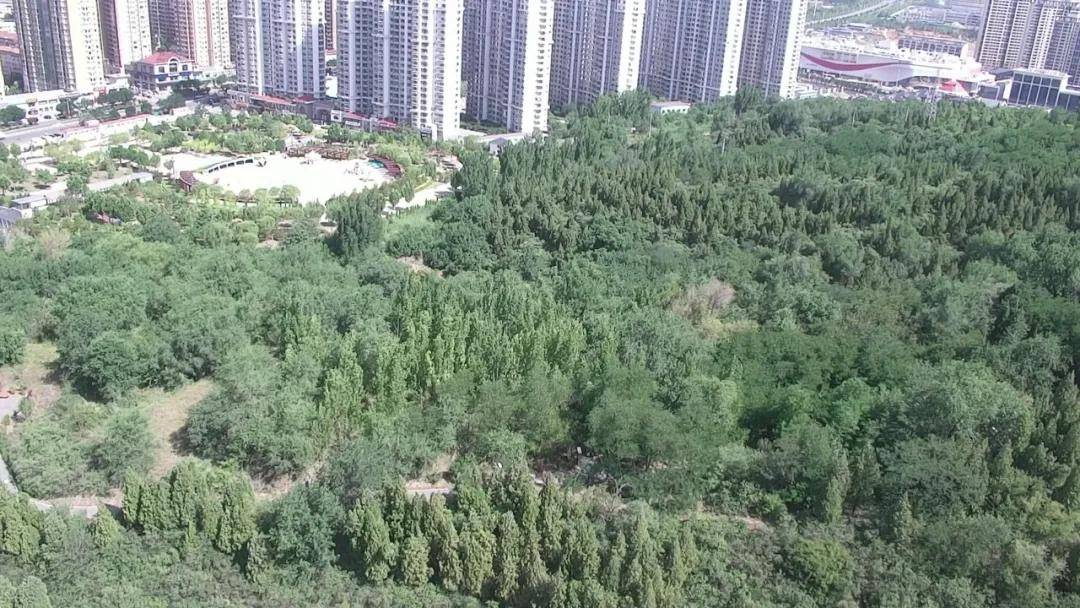 阳泉高新区:"无人机空巡" 禁种铲毒全覆盖