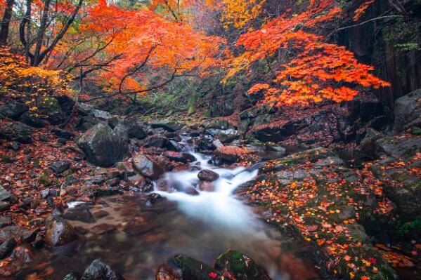 探秘中山逍遥谷,详细介绍中山逍遥谷的景点和玩法