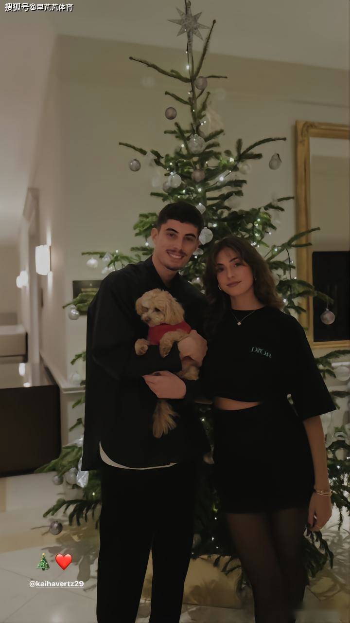 除了哈弗茨外,老帅哥穆勒,诺伊尔,克罗斯,也是很多女球迷的心头好.