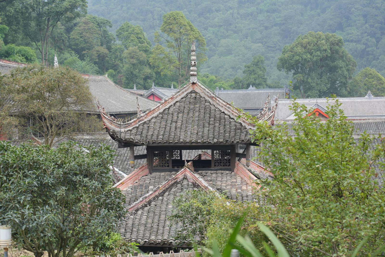 峨眉山伏虎寺:无人打扫却不见一片落叶