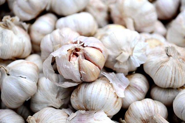这种说法真的可信吗?大蒜的功效与作用广为人