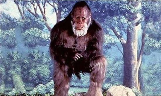 松树枝,望着黑魆魆的洞穴,周林海猜测这应该就是那个"怪物"的老巢了