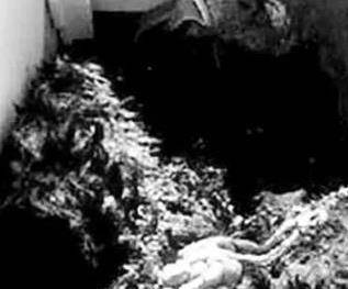 大兴安岭突现野人行径,抓捕后意外发现世外文明,传说生物被活捉