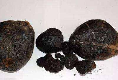 鸦片的危害不言而喻,它就像现在的毒品,几乎是谁沾谁倒霉,因而我国