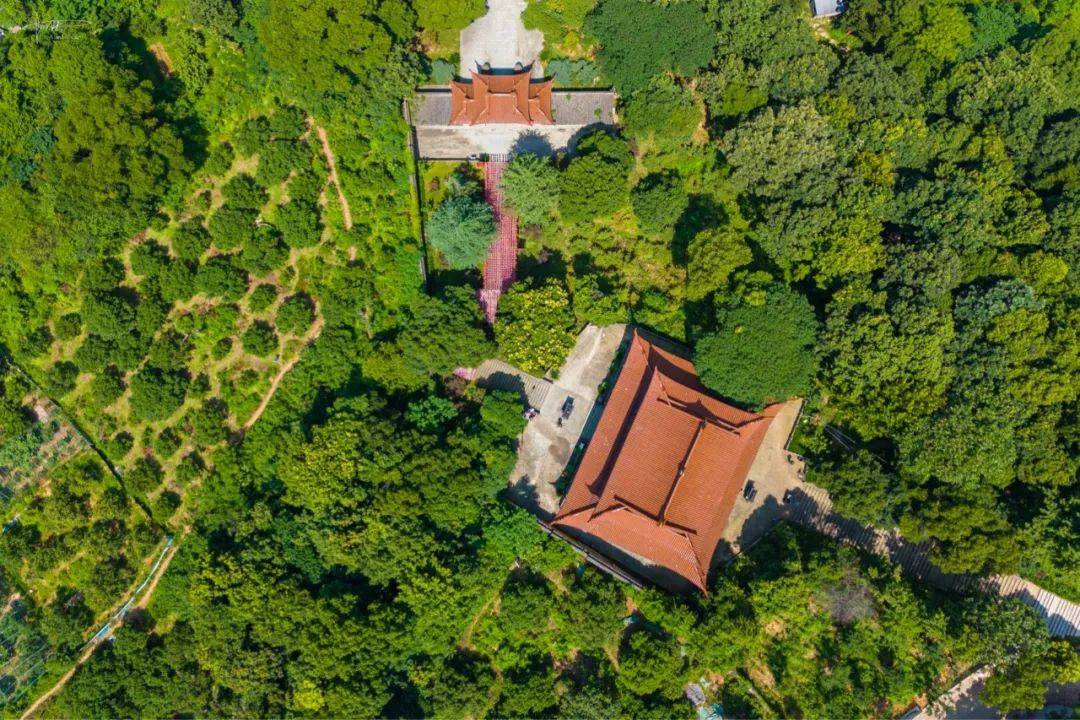 青莲寺是杭州超山的隐秘去处,沿途林木遮天蔽日,堪称避暑胜地