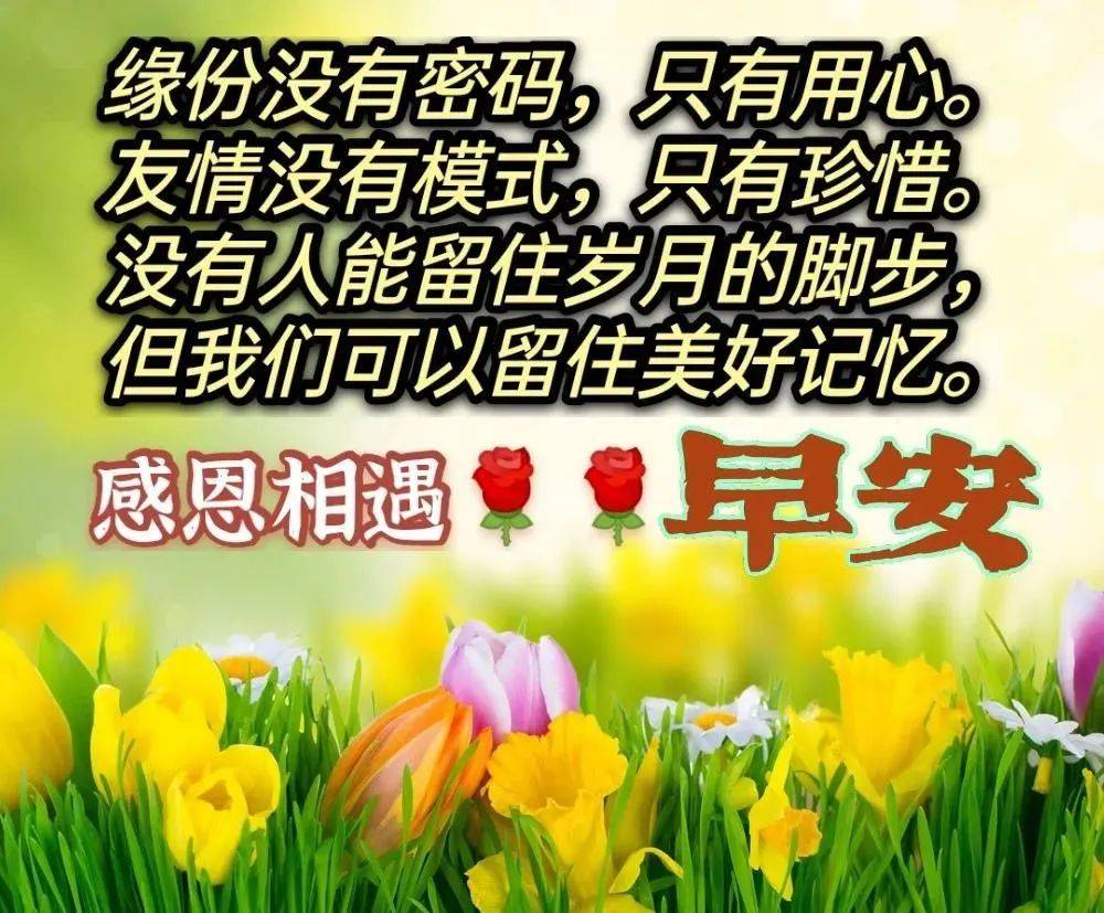 8张特别漂亮清晨早上好动图片带祝福语 免打字聊天的早安问候祝福动态