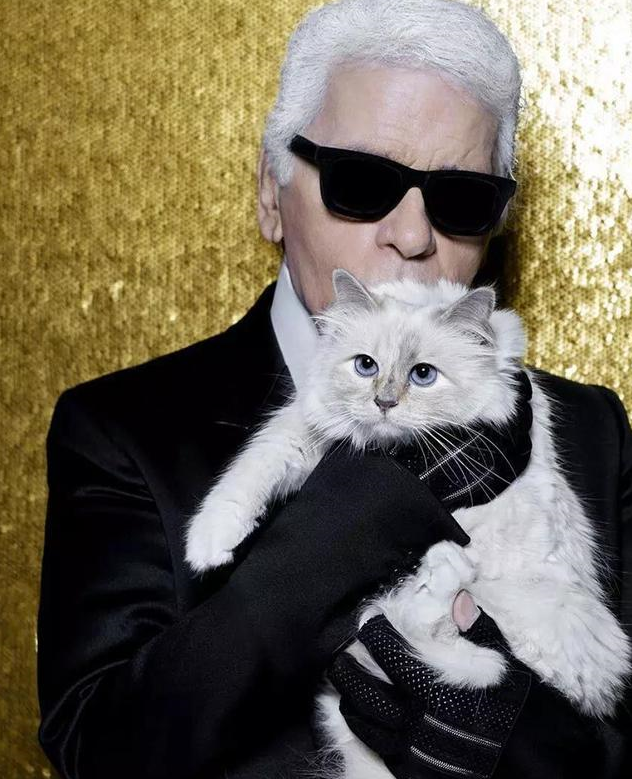 骨灰级猫奴老佛爷逝世,他的猫该何去何从_猫咪_卡尔·