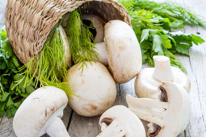 青岛一居民因食用毒蘑菇中毒身亡,不要被这些蘑菇迷惑