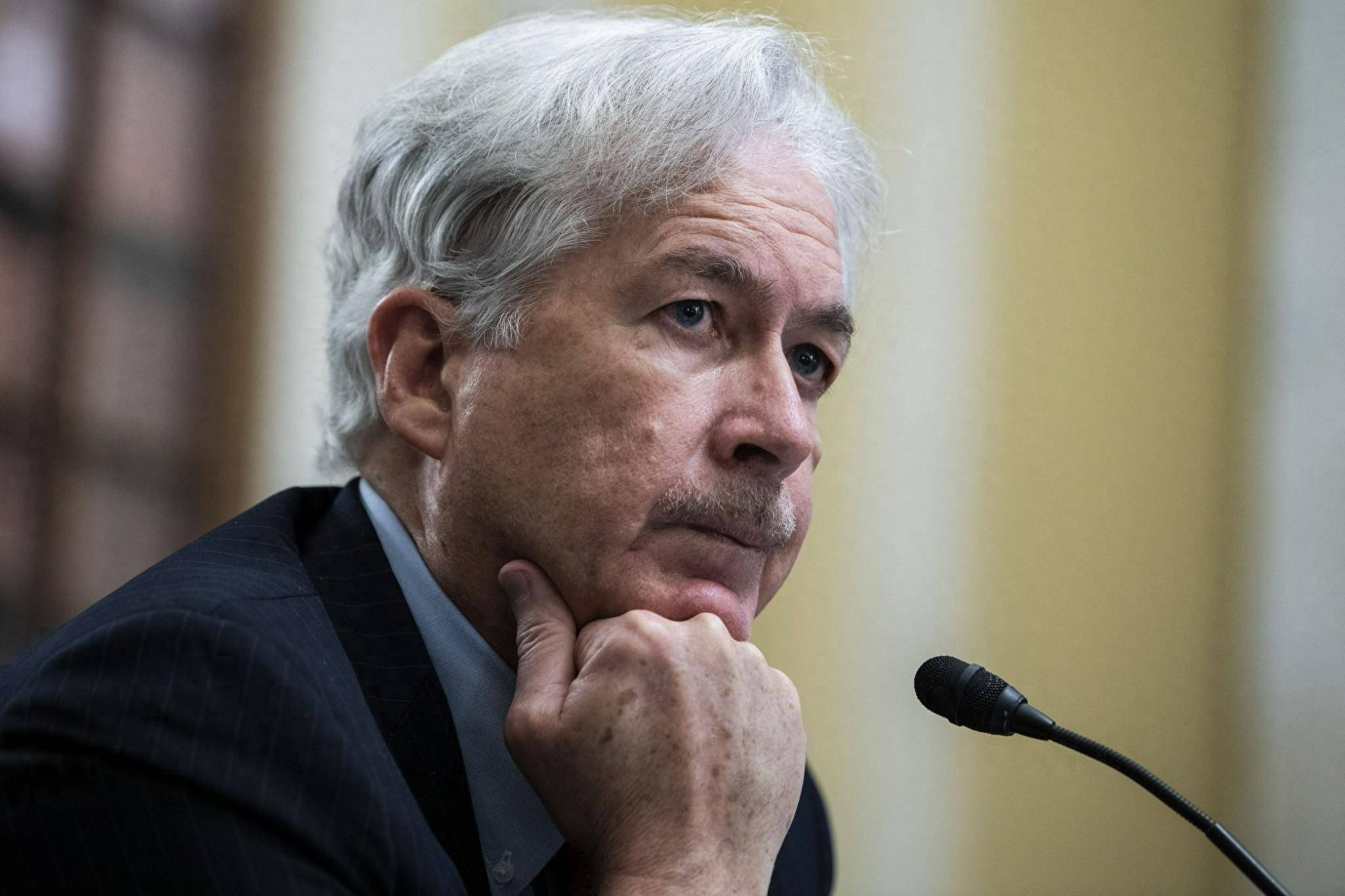 壁纸 动物 灵长目 2048_1366