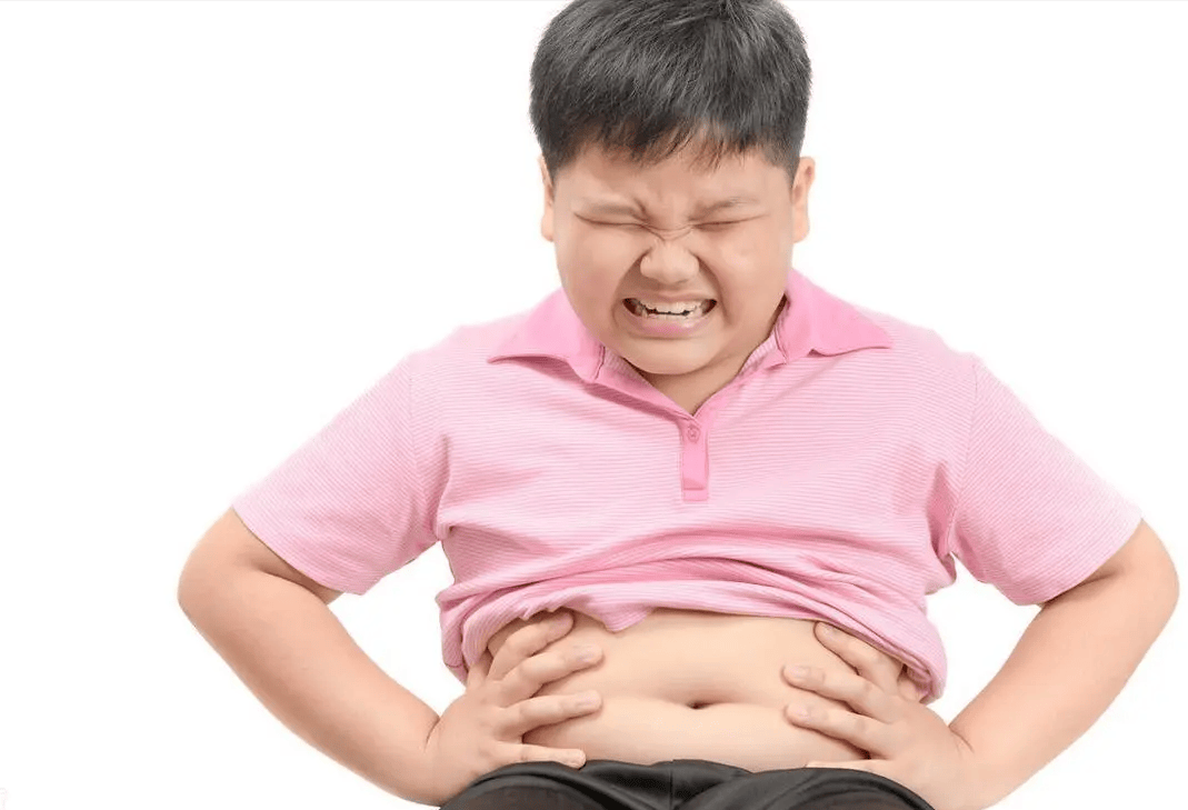 高脂肪饮食会干扰儿童的代谢过程,使他们更容易积累脂肪,增加肥胖