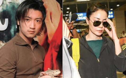 为了报复谢霆锋?王菲秘密生下"三胎"女儿,网友:何必作践自己