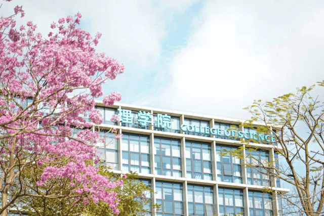 南方科技大学就业情况如何?好不好?用人单位青睐,关键