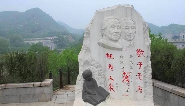 回顾冰心逝世后,其孙子为何在墓碑上写下"教子无方,枉为人表"